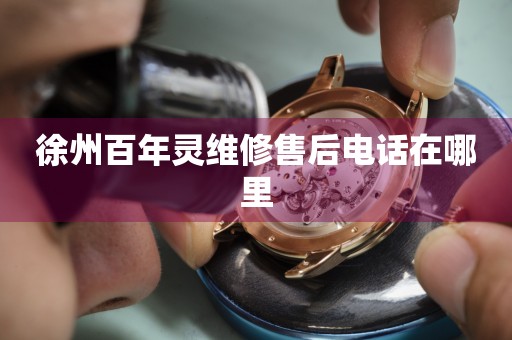 徐州百年靈維修售后電話在哪里