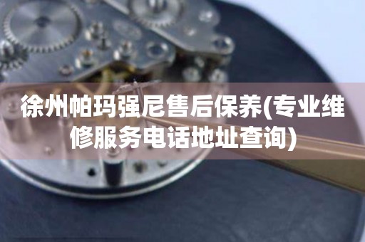 徐州帕瑪強(qiáng)尼售后保養(yǎng)(專業(yè)維修服務(wù)電話地址查詢)