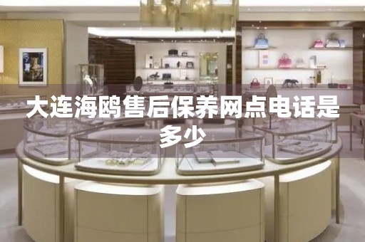 大連海鷗售后保養(yǎng)網(wǎng)點(diǎn)電話是多少
