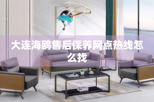 大連海鷗售后保養(yǎng)網(wǎng)點(diǎn)熱線怎么找