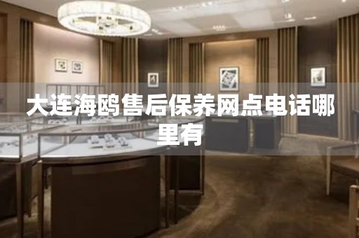 大連海鷗售后保養(yǎng)網(wǎng)點(diǎn)電話哪里有