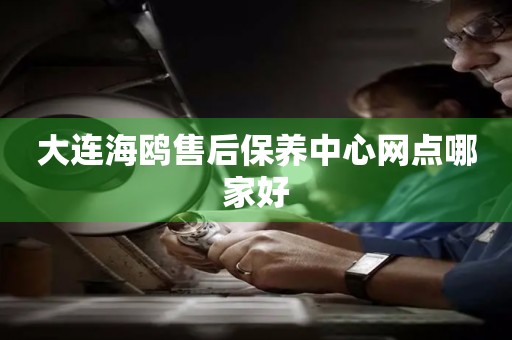 大連海鷗售后保養(yǎng)中心網(wǎng)點(diǎn)哪家好
