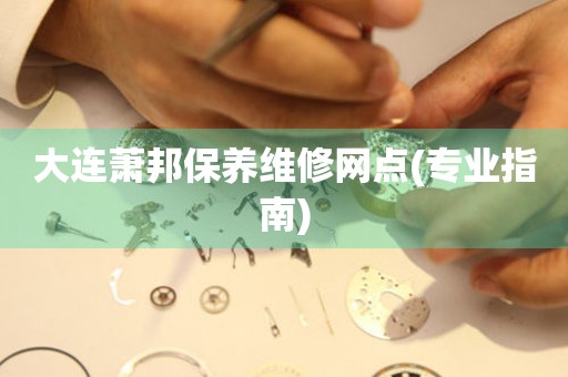 大連蕭邦保養(yǎng)維修網(wǎng)點(專業(yè)指南)