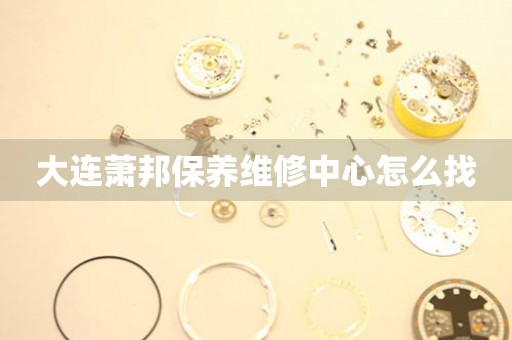 大連蕭邦保養(yǎng)維修中心怎么找