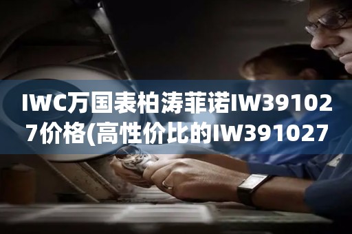 IWC萬(wàn)國(guó)表柏濤菲諾IW391027價(jià)格(高性價(jià)比的IW391027價(jià)格推薦)