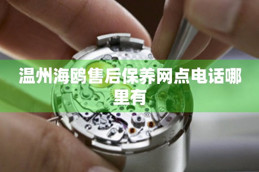 溫州海鷗售后保養(yǎng)網(wǎng)點電話哪里有
