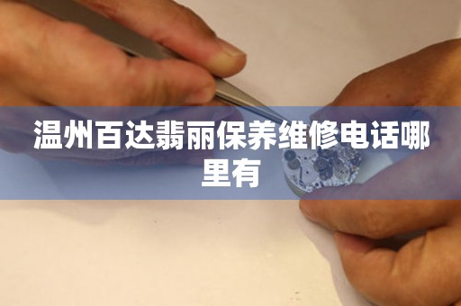 溫州百達翡麗保養(yǎng)維修電話哪里有