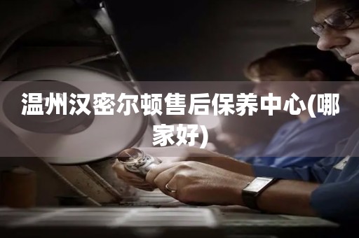 溫州漢密爾頓售后保養(yǎng)中心(哪家好)
