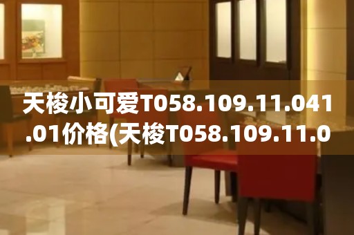 天梭小可愛T058.109.11.041.01價(jià)格(天梭T058.109.11.041.01款式價(jià)格及購買指南)