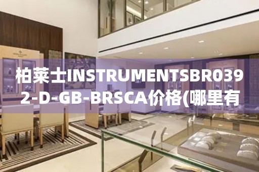 柏萊士INSTRUMENTSBR0392-D-GB-BRSCA價(jià)格(哪里有賣？)