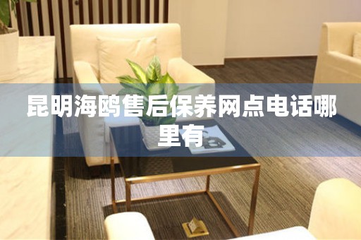 昆明海鷗售后保養(yǎng)網(wǎng)點(diǎn)電話哪里有