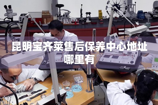 昆明寶齊萊售后保養(yǎng)中心地址哪里有