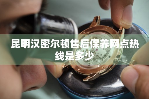 昆明漢密爾頓售后保養(yǎng)網(wǎng)點熱線是多少