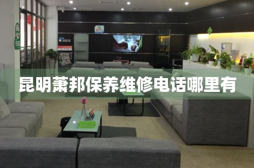 昆明蕭邦保養(yǎng)維修電話哪里有