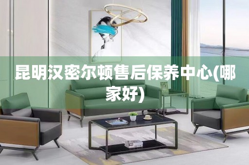 昆明漢密爾頓售后保養(yǎng)中心(哪家好)