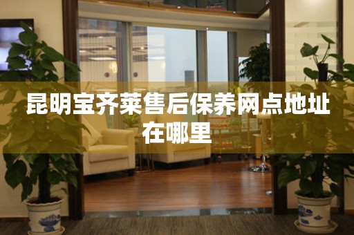 昆明寶齊萊售后保養(yǎng)網(wǎng)點(diǎn)地址在哪里