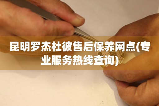 昆明羅杰杜彼售后保養(yǎng)網(wǎng)點(專業(yè)服務(wù)熱線查詢)