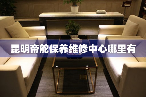 昆明帝舵保養(yǎng)維修中心哪里有