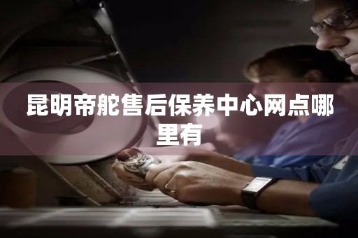 昆明帝舵售后保養(yǎng)中心網(wǎng)點(diǎn)哪里有