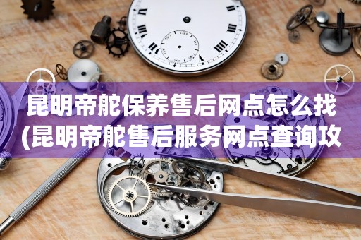 昆明帝舵保養(yǎng)售后網(wǎng)點(diǎn)怎么找(昆明帝舵售后服務(wù)網(wǎng)點(diǎn)查詢攻略)