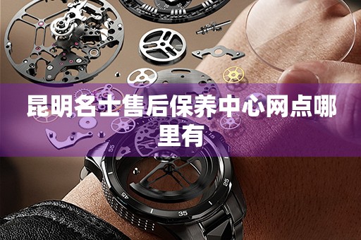 昆明名士售后保養(yǎng)中心網(wǎng)點(diǎn)哪里有
