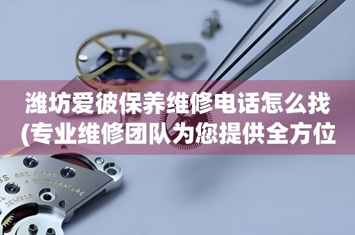 濰坊愛彼保養(yǎng)維修電話怎么找(專業(yè)維修團(tuán)隊(duì)為您提供全方位服務(wù))