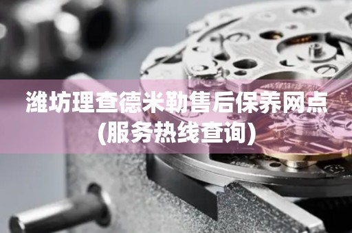 濰坊理查德米勒售后保養(yǎng)網(wǎng)點(diǎn)(服務(wù)熱線查詢)