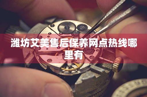 濰坊艾美售后保養(yǎng)網(wǎng)點(diǎn)熱線哪里有