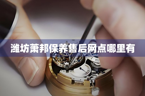濰坊蕭邦保養(yǎng)售后網(wǎng)點(diǎn)哪里有