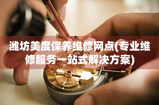 濰坊美度保養(yǎng)維修網(wǎng)點(diǎn)(專業(yè)維修服務(wù)一站式解決方案)