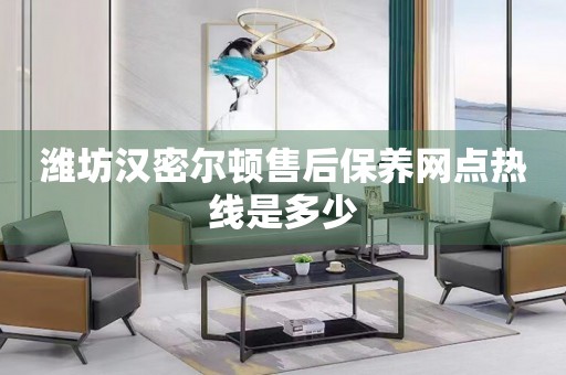 濰坊漢密爾頓售后保養(yǎng)網(wǎng)點(diǎn)熱線是多少