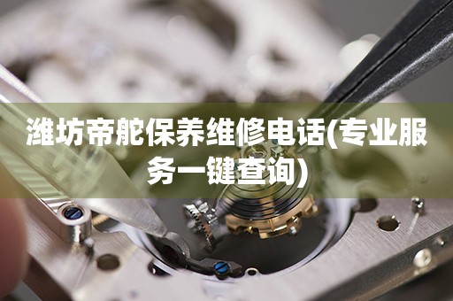 濰坊帝舵保養(yǎng)維修電話(專業(yè)服務(wù)一鍵查詢)