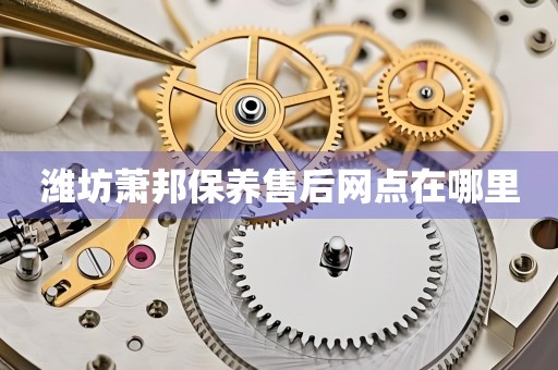 濰坊蕭邦保養(yǎng)售后網(wǎng)點在哪里