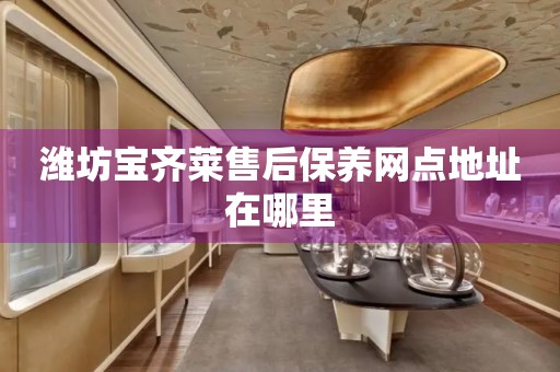 濰坊寶齊萊售后保養(yǎng)網(wǎng)點地址在哪里