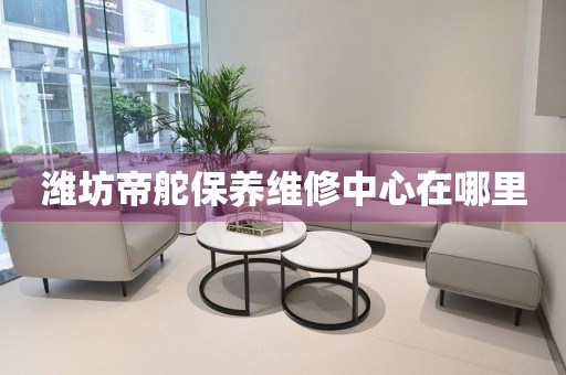 濰坊帝舵保養(yǎng)維修中心在哪里