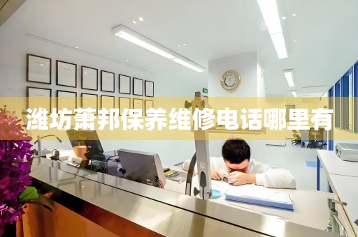 濰坊蕭邦保養(yǎng)維修電話哪里有