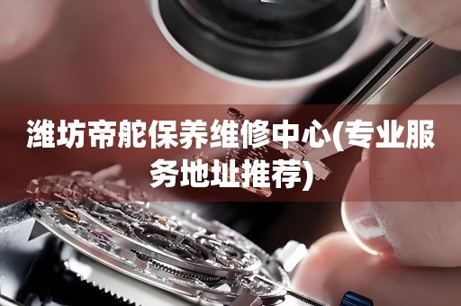 濰坊帝舵保養(yǎng)維修中心(專業(yè)服務(wù)地址推薦)