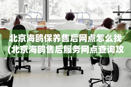 北京海鷗保養(yǎng)售后網(wǎng)點(diǎn)怎么找(北京海鷗售后服務(wù)網(wǎng)點(diǎn)查詢攻略)