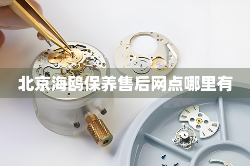 北京海鷗保養(yǎng)售后網(wǎng)點(diǎn)哪里有
