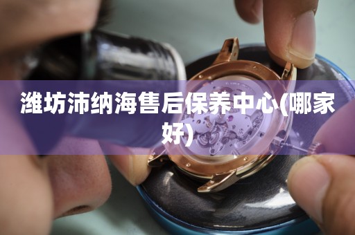 濰坊沛納海售后保養(yǎng)中心(哪家好)