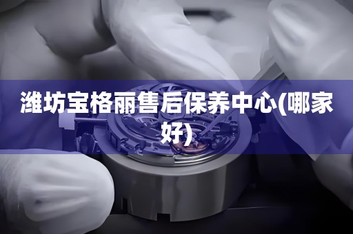 濰坊寶格麗售后保養(yǎng)中心(哪家好)