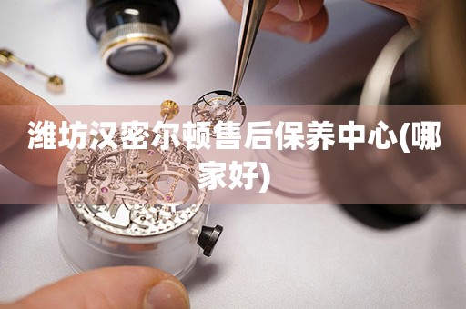 濰坊漢密爾頓售后保養(yǎng)中心(哪家好)