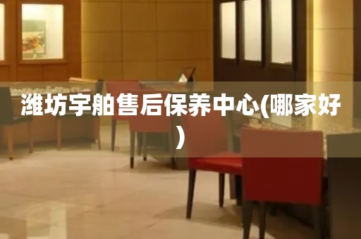 濰坊宇舶售后保養(yǎng)中心(哪家好)