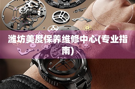 濰坊美度保養(yǎng)維修中心(專業(yè)指南)