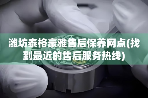 濰坊泰格豪雅售后保養(yǎng)網(wǎng)點(找到最近的售后服務(wù)熱線)