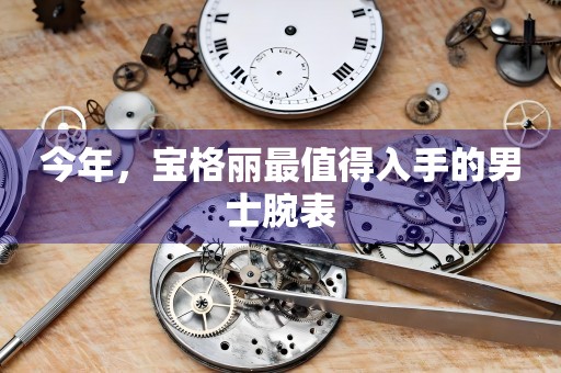 今年，寶格麗最值得入手的男士腕表