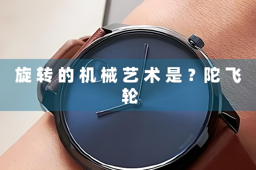 旋 轉(zhuǎn) 的 機(jī) 械 藝 術(shù) 是 ？陀 飛 輪