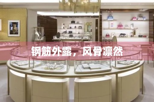 鋼筋外露，風(fēng)骨凜然