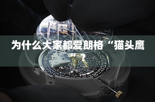 為什么大家都愛朗格“貓頭鷹”？