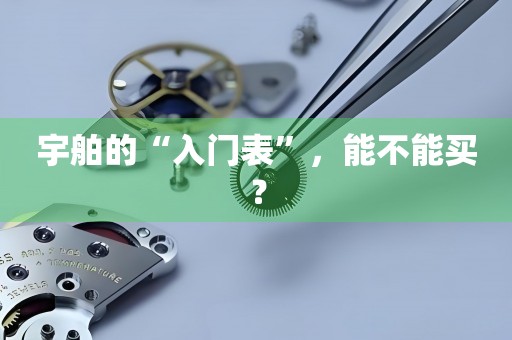 宇舶的“入門表”，能不能買？